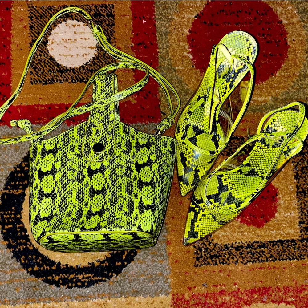 Green snakeskin purse and shoe bundle.
